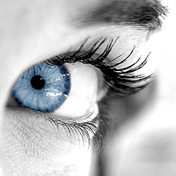 Ferramentas de Insight